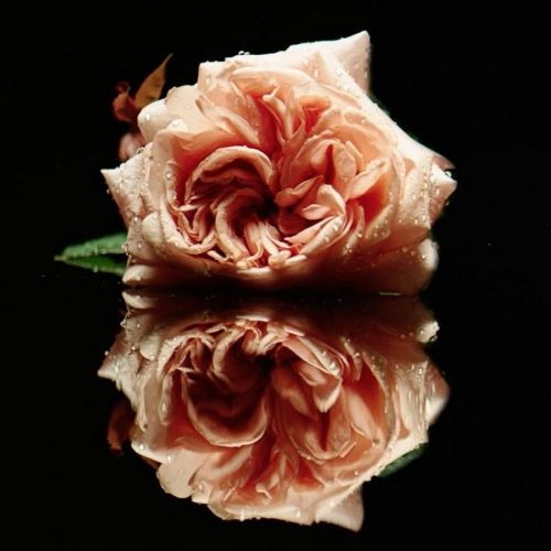 Florence + The Machine - Big God